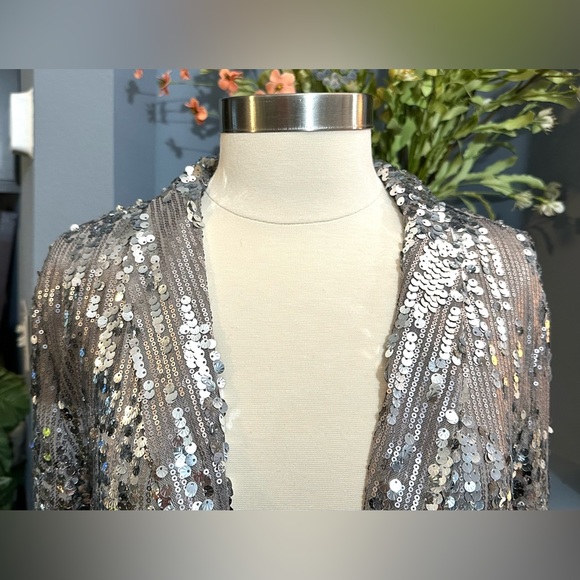 Dolce Cabo Silver Sequin and Mesh Open Front Blazer Size Medium NWT - Picture 4 of 13
